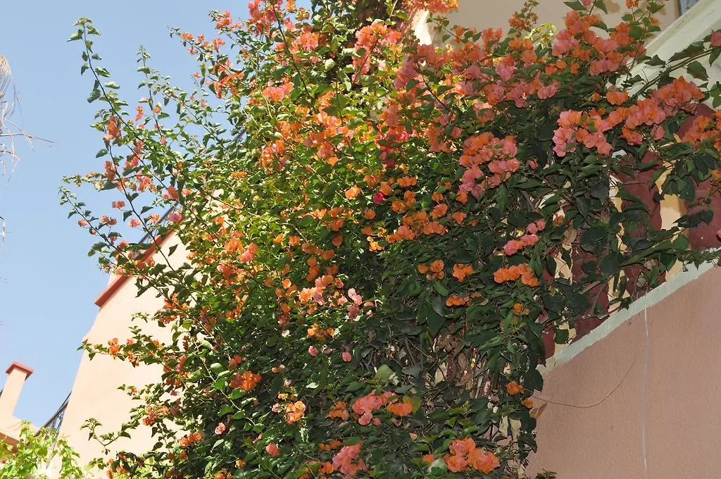 Zina Apartment Marrakesh